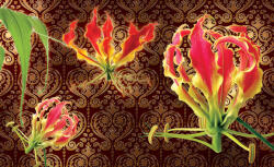 Consalnet Red lilies poszter, fotótapéta, Vlies (104 x 70, 5 cm) (C1-1374VEM)