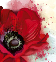 Dimex POPPY fotótapéta, poszter, vlies alapanyag, 225x250 cm (MS-3-0150)
