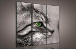 Consalnet Macska, 3 darabos vászonkép, 90x80 cm méretben (C5-181S6)