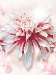 Consalnet Virágok poszter, fotótapéta, Vlies (206x275 cm, álló) (C1-10153VEA)