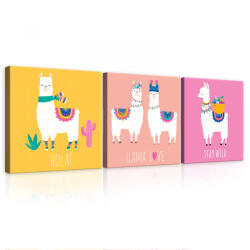 Consalnet Vászonkép 3 darabos, Llama, 3 db 25x25 cm méret (C5-12508S13)
