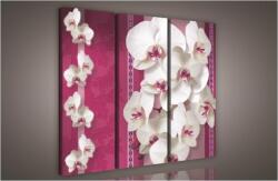 Consalnet Orchidea minta, 3 darabos vászonkép, 90x80 cm méretben (C5-834S6)