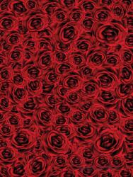 Consalnet Rózsák vlies poszter, fotótapéta 2390VE-A /206x275 cm/ (2390-VE-A)