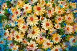 Dimex Vlies Fotótapéta - Chamomile - 375x250 cm (MS-5-1963)