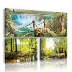 Consalnet Vászonkép 3 darabos, Erdős tájkép 80x55 cm méretben (C5-10827S16)