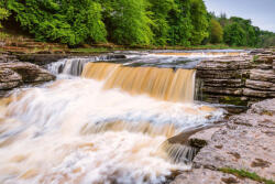 Dimex Vlies Fotótapéta - Lower Aysgarth falls - 375x250 cm (MS-5-3159)
