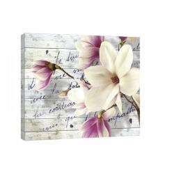 Consalnet Magnólia, vászonkép, 60x40 cm méretben (C5-20033O4)