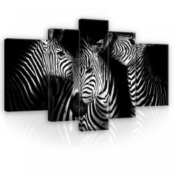 Consalnet Vászonkép, 5 darabos, Zebrák 170x100 cm méretben (C5-11761S4A)