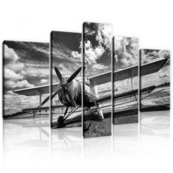 Consalnet Vászonkép, 5 darabos, Repülő fekete-fehér 170x100 cm méretben (C5-11384S4A)