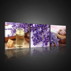 Consalnet Vászonkép 3 darabos, Levendula, 3 db 25x25 cm méret (C5-10540S13)