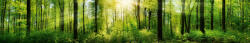 Dimex FRESH GREEN TREES öntapadós konyhai poszter, 350x60 cm (KI-350-133)