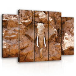 Consalnet Vászonkép, 5 darabos Kő elefánt 150x100 cm méretben (C5-10114S12)
