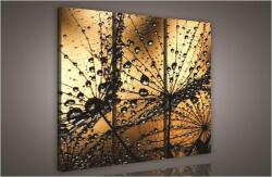 Consalnet Pitypang, 3 darabos vászonkép, 90x80 cm méretben (C5-984S6)