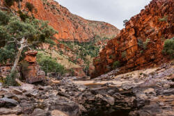 Dimex Vlies Fotótapéta - Australian national park - 375x250 cm (MS-5-1679)