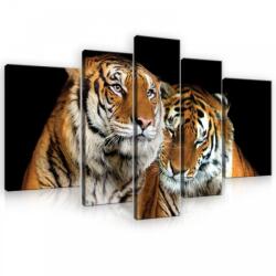 Consalnet Vászonkép, 5 darabos, Tigrisek 170x100 cm méretben (C5-10173S4A)