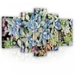 Consalnet Vászonkép, 5 darabos, Kőrózsák 170x100 cm méretben (C5-11757S4A)