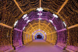 Dimex Vlies Fotótapéta - Christmas night Moscow - 375x250 cm (MS-5-0969)