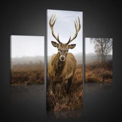 Consalnet Vászonkép 3 darabos, Szarvas 130x80 cm méretben (C5-10319S16)