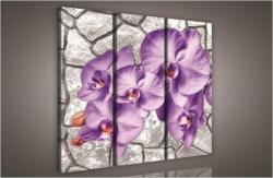 Consalnet Orchidea, 3 darabos vászonkép, 90x80 cm méretben (C5-910S6)