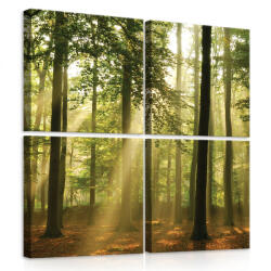 Consalnet Vászonkép 4 darabos, Erdő 50x50 cm méretben (C5-10331S20)