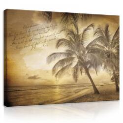 Consalnet Vászonkép, Pálmafák, 100x75 cm méretben (C5-20050O1)