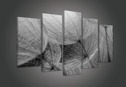 Consalnet Vászonkép 5 darabos, Pitypang 100x60 cm méretben (C5-1875S17)