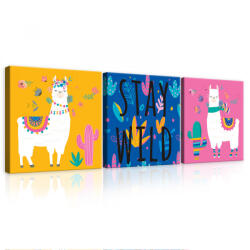 Consalnet Vászonkép 3 darabos, Llama - Stay wild, 3 db 25x25 cm méret (C5-12505S13)