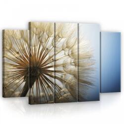 Consalnet Vászonkép, 5 darabos Pitypang 150x100 cm méretben (C5-11792S12)