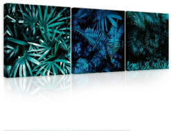 Consalnet Vászonkép 3 darabos, Növények, 3 db 25x25 cm méret (C5-12768S13)