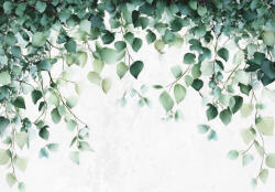 Consalnet Zöld levelek gyengéd érintése poszter, fotótapéta Vlies (312 x 219 cm) (C1-15406VEXXL)