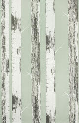 Rasch Zöld alapon nyirfa mintás tapéta (285413) (285413)