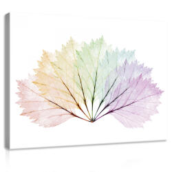 Consalnet Vászonkép, Szines levelek, 60x40 cm méretben (C5-11783O4)