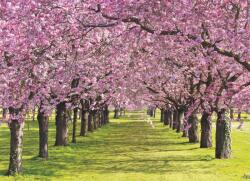 Consalnet Virágzó fák poszter, fotótapéta, Vlies (208 x 146 cm) (C1-010VEXL)