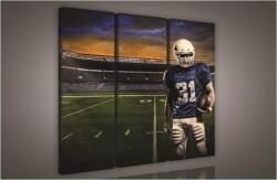 Consalnet Rugby játékos a pályán, 3 darabos vászonkép, 90x80 cm méretben (C5-965S6)