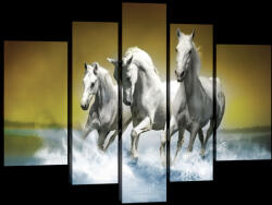 Consalnet Vászonkép, 5 darabos, Lovak 170x100 cm méretben (C5-20300S4A)