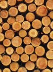 Consalnet Farönk poszter, fotótapéta, Vlies (184x254 cm, álló) (C1-1068V4A)