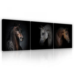Consalnet Vászonkép 3 darabos, Lovak, 3 db 25x25 cm méret (C5-13645S13)