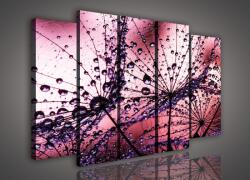 Consalnet Vászonkép, 5 darabos Vízcseppes pitypang 150x100 cm méretben (C5-425S12)