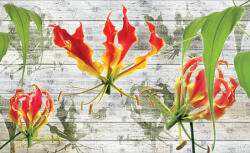 Consalnet Red lilies poszter, fotótapéta (152, 5 x 104 cm) (C1-1373VEL)