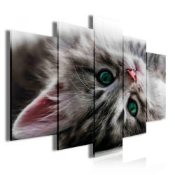 Consalnet Vászonkép 5 darabos, Cicus 100x60 cm méretben (C5-9575S17)