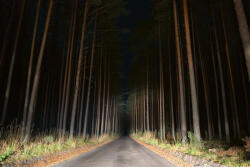 Dimex Vlies Fotótapéta - Night view of road - 375x250 cm (MS-5-1905)