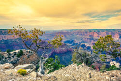 Dimex Vlies Fotótapéta - Morning light at Grand Canyon - 375x250 cm (MS-5-1645)