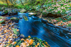 Dimex Vlies Fotótapéta - Autumn torrents - 375x250 cm (MS-5-3092)