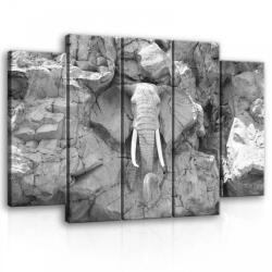 Consalnet Vászonkép, 5 darabos Kő elefánt 150x100 cm méretben (C5-10116S12)