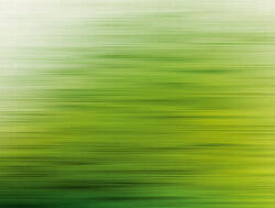 AS Fotótapéta, Sárguló zöld, Prémium, 371x280 cm (AS-38261-1)