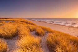 Dimex Vlies Fotótapéta - Tall dunes - 375x250 cm (MS-5-3209)