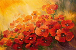 Dimex Vlies Fotótapéta - Abstract illustration of poppies - 375x250 cm (MS-5-1989)