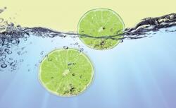 Consalnet Lime poszter, fotótapéta, Vlies (416 x 254 cm) (C1-109VEXXXL)