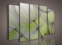 Consalnet Vászonkép, 5 darabos Pitypang 150x100 cm méretben (C5-269S12)