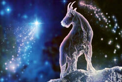 Dimex Vlies Fotótapéta - Capricorn - 375x250 cm (MS-5-2279)